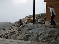 24_Al rif. Mantova si fanno amicizie con la fauna locale
